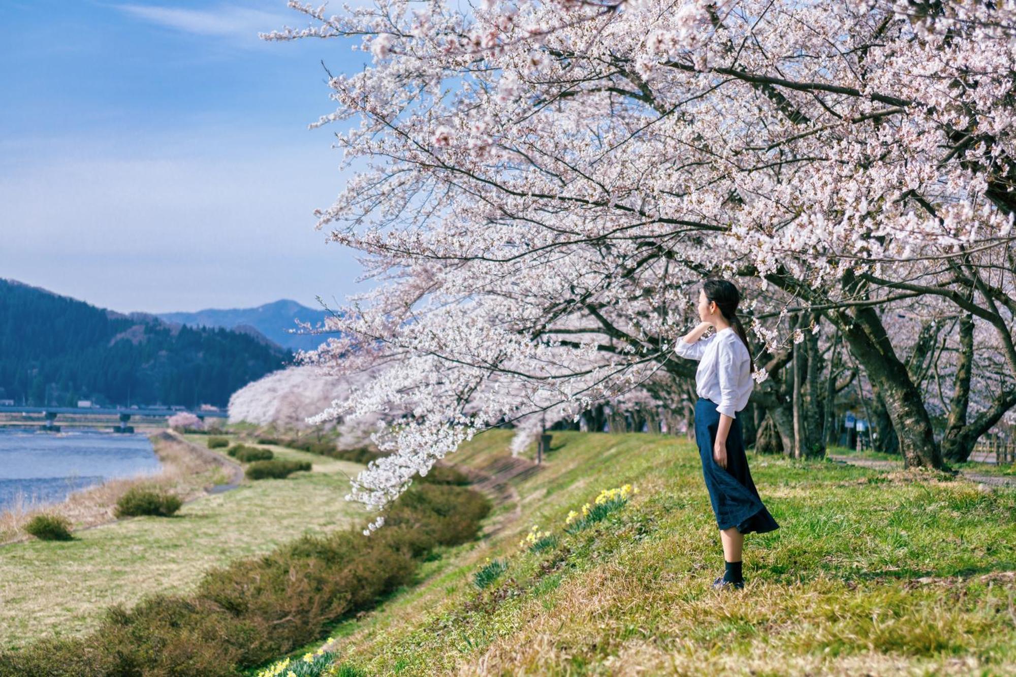 传统日式旅馆 田泽湖温泉度假村 仙北
