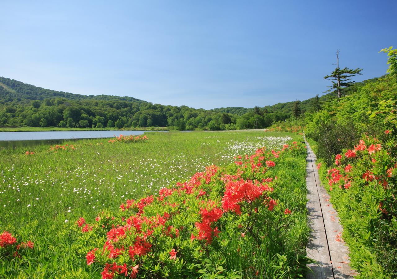 田泽湖温泉度假村 3* 仙北